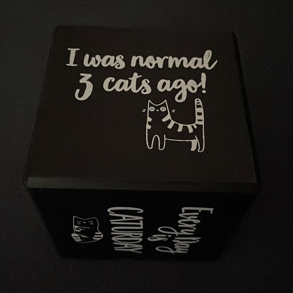 Cat saying cubes - Picture 2 of 6